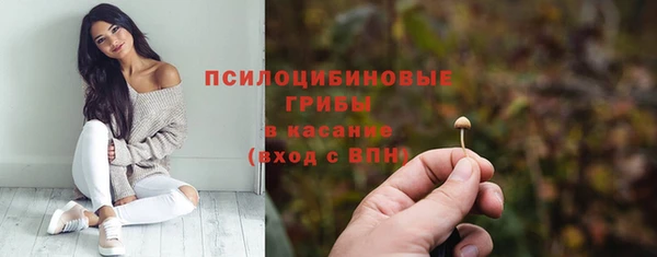 ешки Краснотурьинск