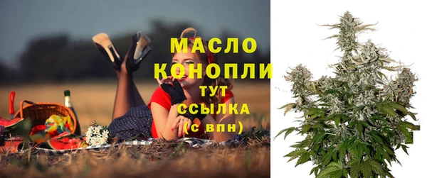 амф Краснослободск