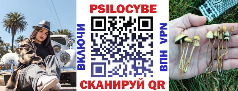 магазин Яранск Псилоцибиновые грибы MAGIC MUSHROOMS